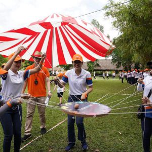 Tổ chức team building