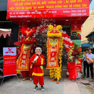 Cho thuê múa lân khai trương