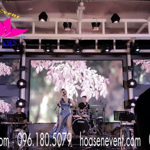 Cho thuê ca sĩ chuyên nghiệp