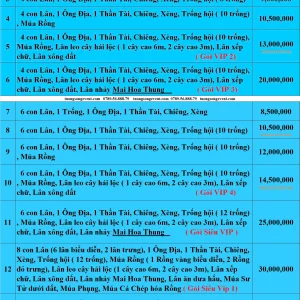 Báo giá dịch vụ múa lân ngày tết - múa lân đầu năm