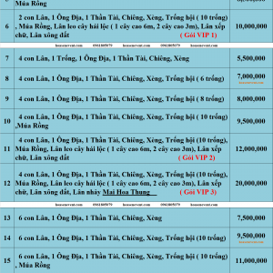 Báo giá dịch vụ khai trương tại TPHCM