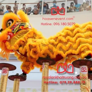 Cho thuê múa lân mai hoa thung