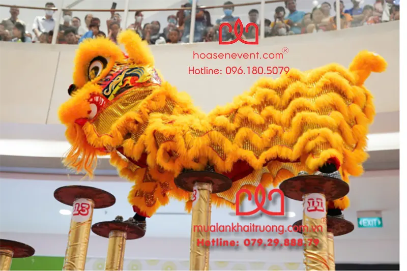 Cho thuê múa lân mai hoa thung