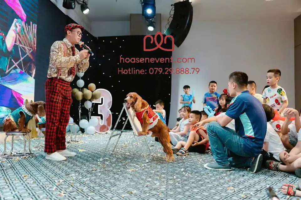 Dịch vụ biểu diễn xiếc chó tại Bình Thạnh